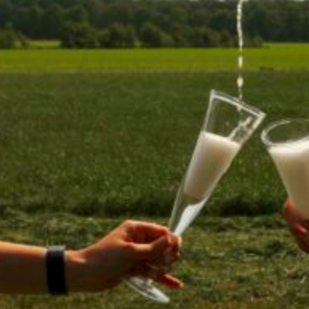 Apéro Art champagne glasses.Each glass is unique no two design are the same.Two.